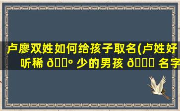 卢廖双姓如何给孩子取名(卢姓好听稀 🌺 少的男孩 🕊 名字)